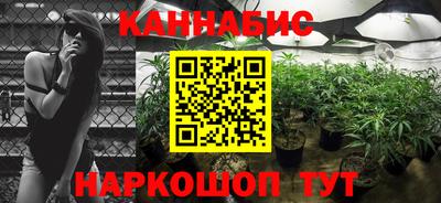 apvp Бердск