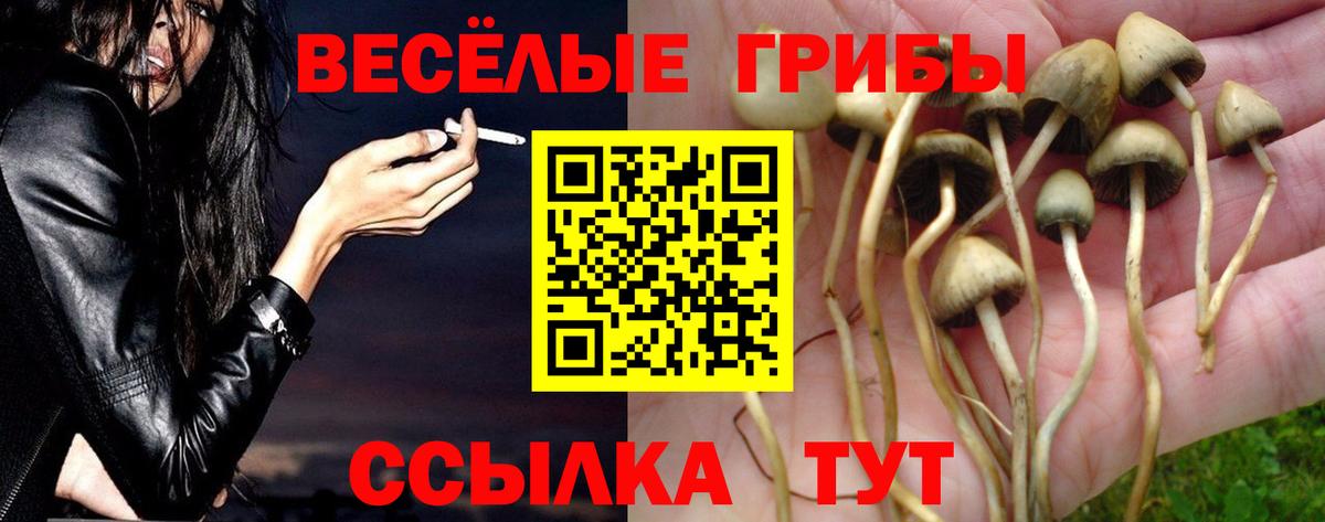 Псилоцибиновые грибы MAGIC MUSHROOMS  Вход с VPN  наркотики  Саки 