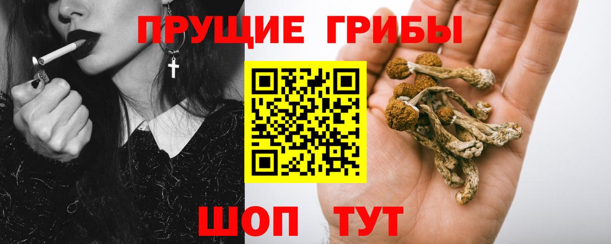 Галлюциногенные грибы Psilocybe Саки